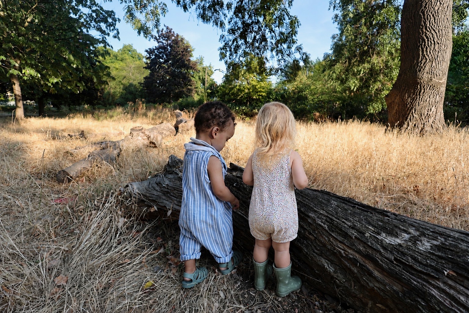 Two children exploring a fallen tree in a woodland setting