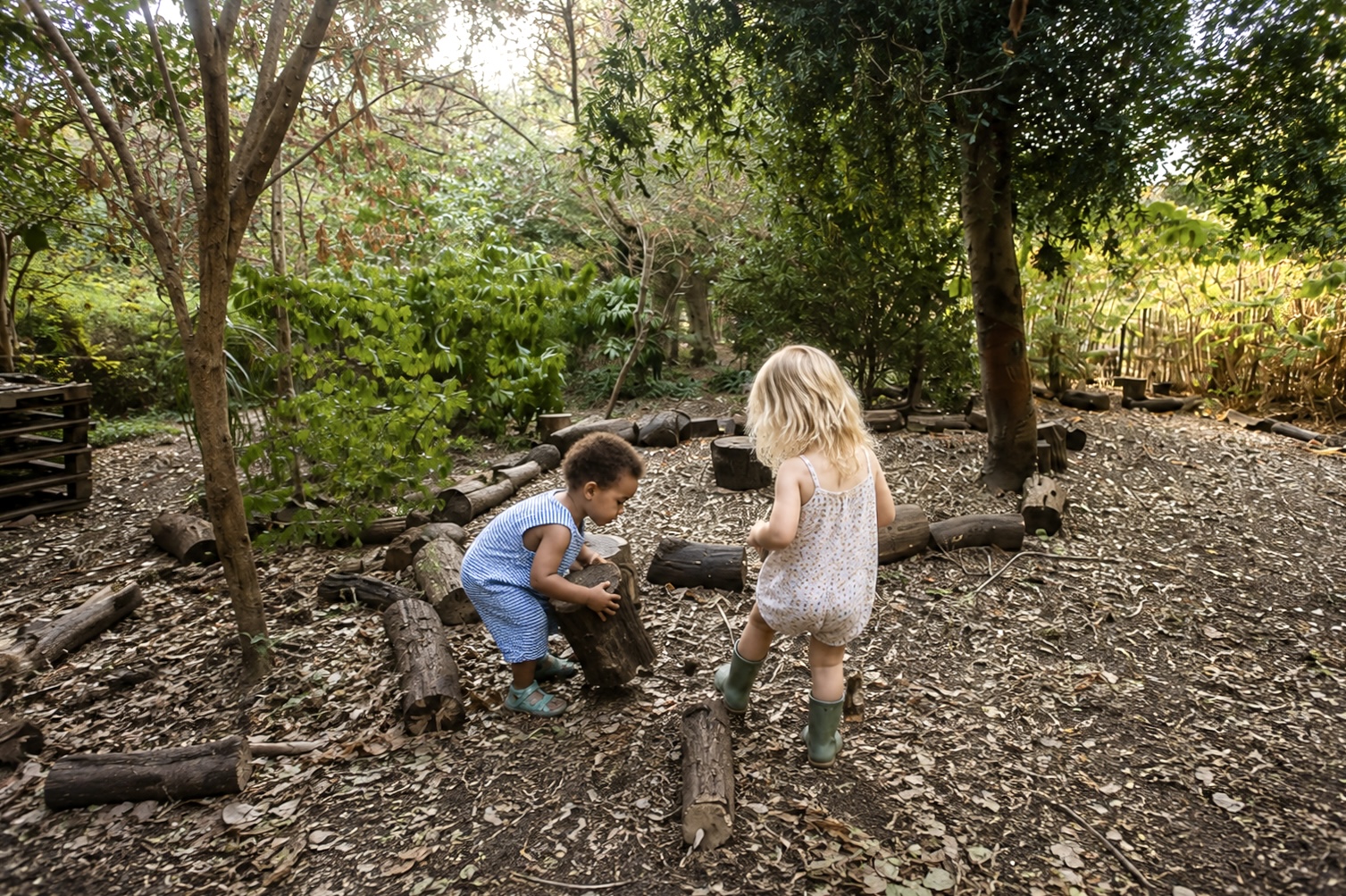 Children exploring and playing together in a woodland setting