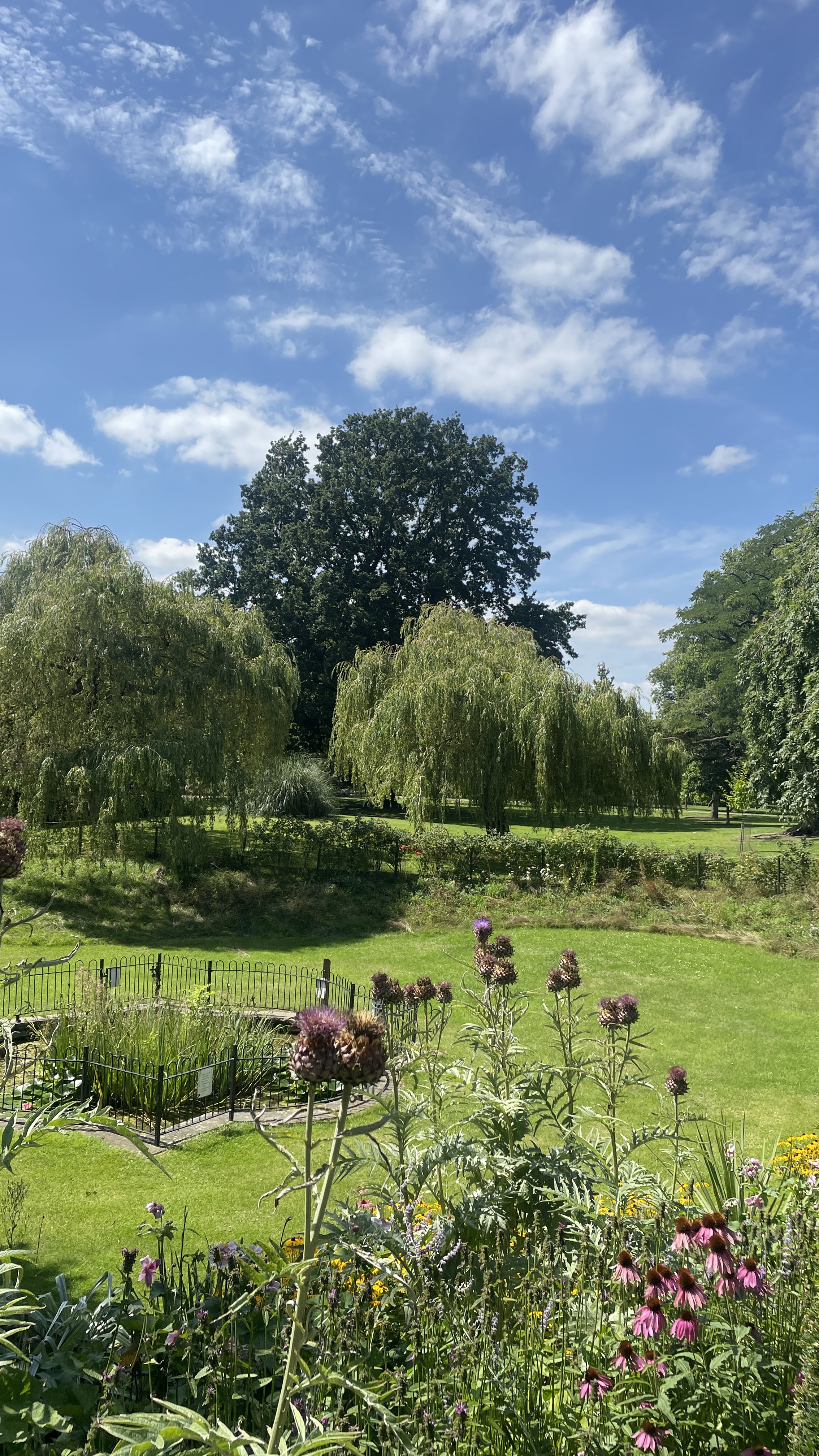 A sunny view across West Ham Park gardens and trees