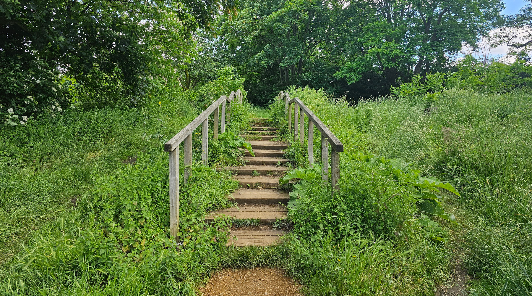 Wooden steps through lush greenery in West Ham Park